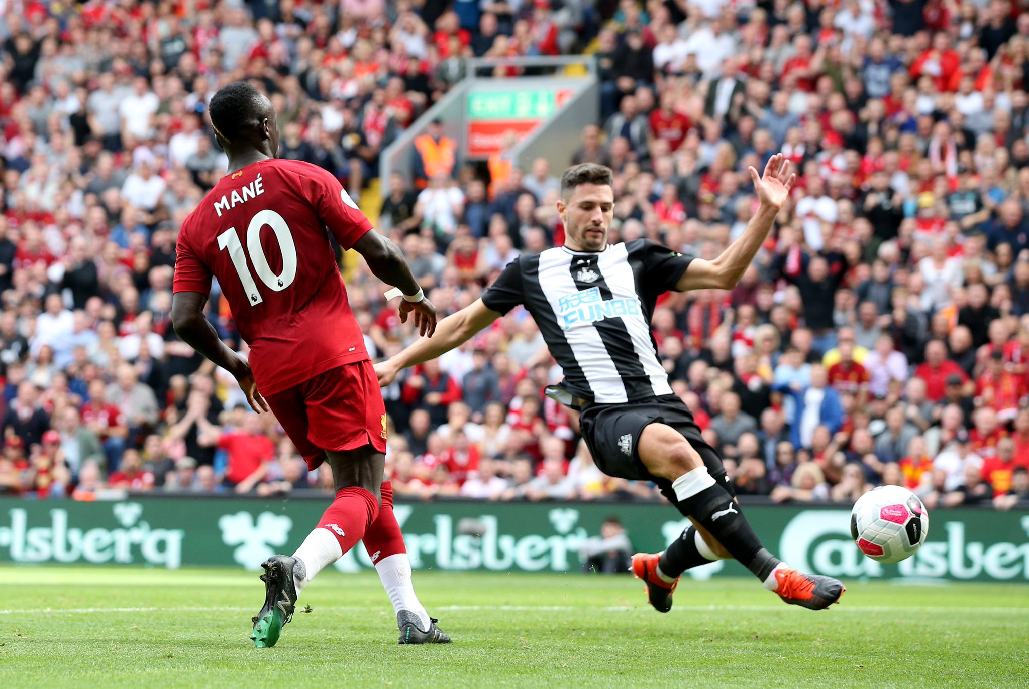 照样本是阿 照样本是阿